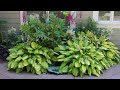 Декоративно - лиственные растения для сада. Красивые фото