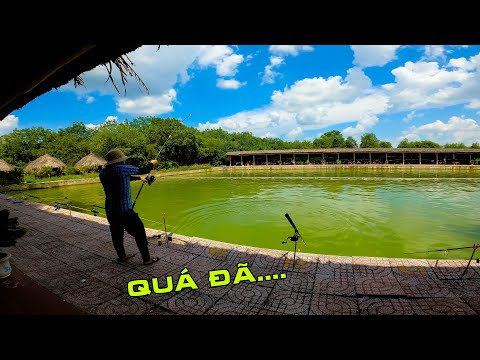 Video Câu Cá Giải Mini Ngày 15 05 2022 | Hồ Câu Cá Long... - youtube