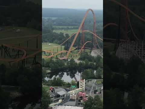 I rode this bad boy! 😎 #rollercoaster #themepark #fun #amusementpark #ride #kingsdominion