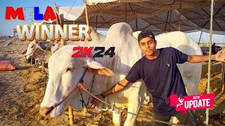 SIBBI MELA WINNER TODAY MORNING AT 7:00 am ( BY NORTHERN BYPASS) //MSN VLOG 124