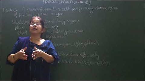 Bio-IX-2-01 Tissue introduction,   Pradeep Kshetrapal channel