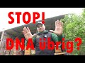 Waldhonig und die DNA
