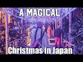 Christmas in Japan vlog • Southeast Botanical Gardens Okinawa Japan