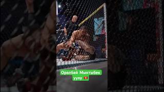 ⚡️ Мыктыбек уулу Оролбай 🇰🇬одерживает уверенную победу над Крисом Кёртисом на турнире #UFCVegas114
