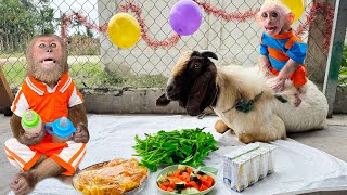 Download Lagu Super funny! CUTIS opens restaurant \u0026 invites Goat with Baby monkey to attend 🤩 MP3