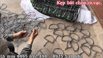 Chế Kẹp bán nguyệt,kẹp chân cò,vạc.sóc, chuột .chim,các loại,giá rẻ ship toàn quốc.