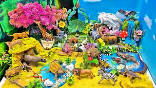 Amazing Wild Animal Habitats 🦁🦒🐊 | Learn Animal Names with Luccy