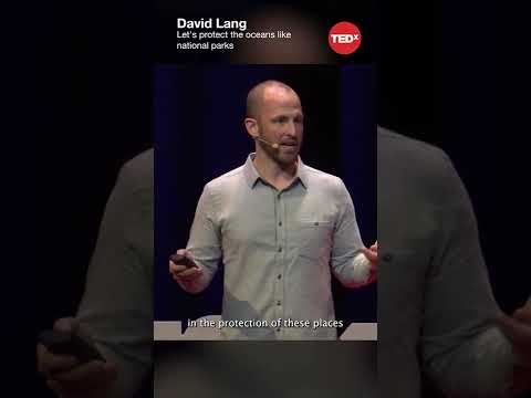 TEDx Talks: Let's protect the oceans like national parks - David Lang #shorts #tedx