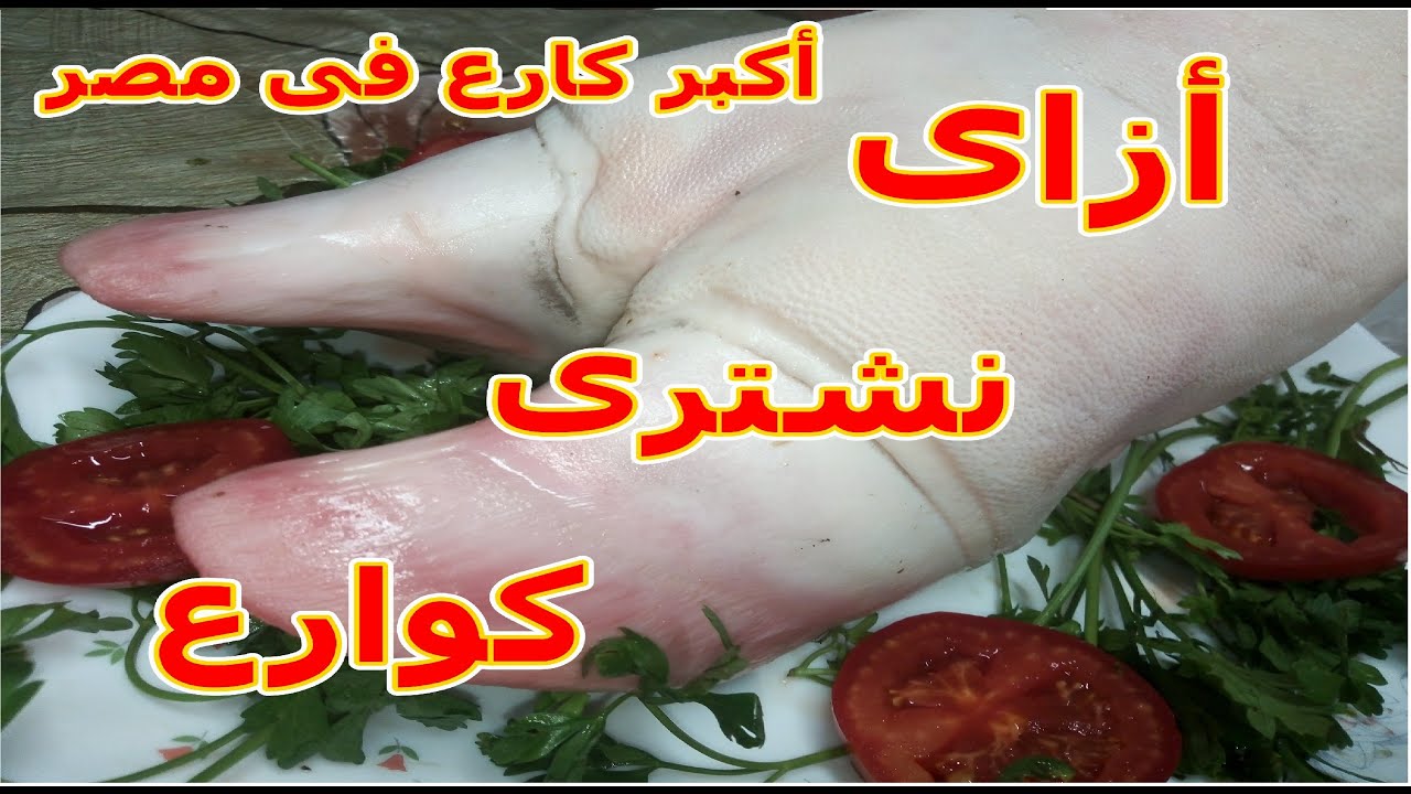 #أكبر_كارع_ فى _مصر_عشاق_الكوارع  أزاى تعرف تشترى الكوارع الأمامية المظبوطة....  70 الف مشاهدة يوميا