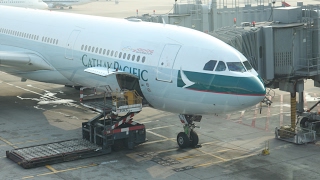 Flight report #8 (part 2) | cathay pacific cx 903 hong kong to manila
a330-300 economy class