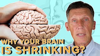 Why Your Brain is Shrinking and How You can Reverse It?