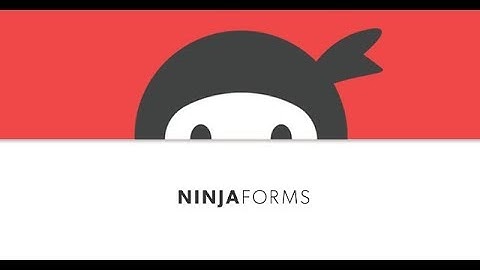 How to use Ninja Forms with CSS Customization