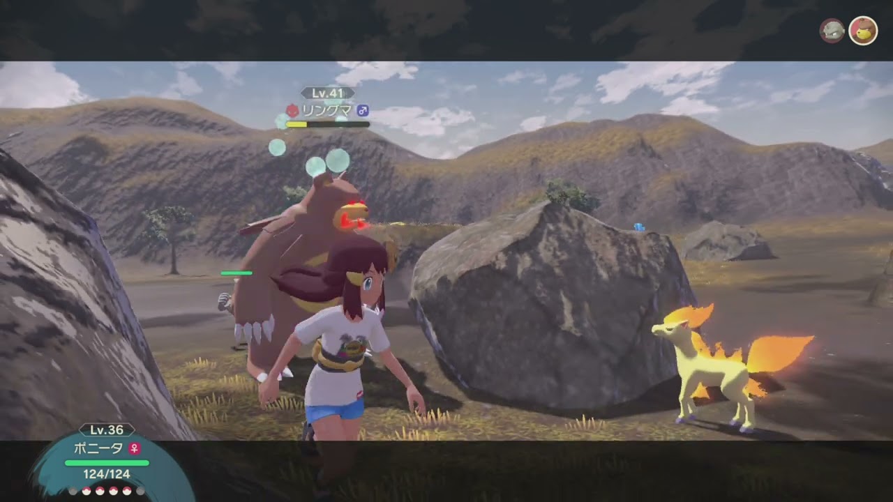 ポケモンレジェンズアルセウス 対決 オヤブンリングマ 湿原で大はしゃぎ Youtube