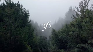 36 (Priceless) - Tom Read // Official Lyric Video