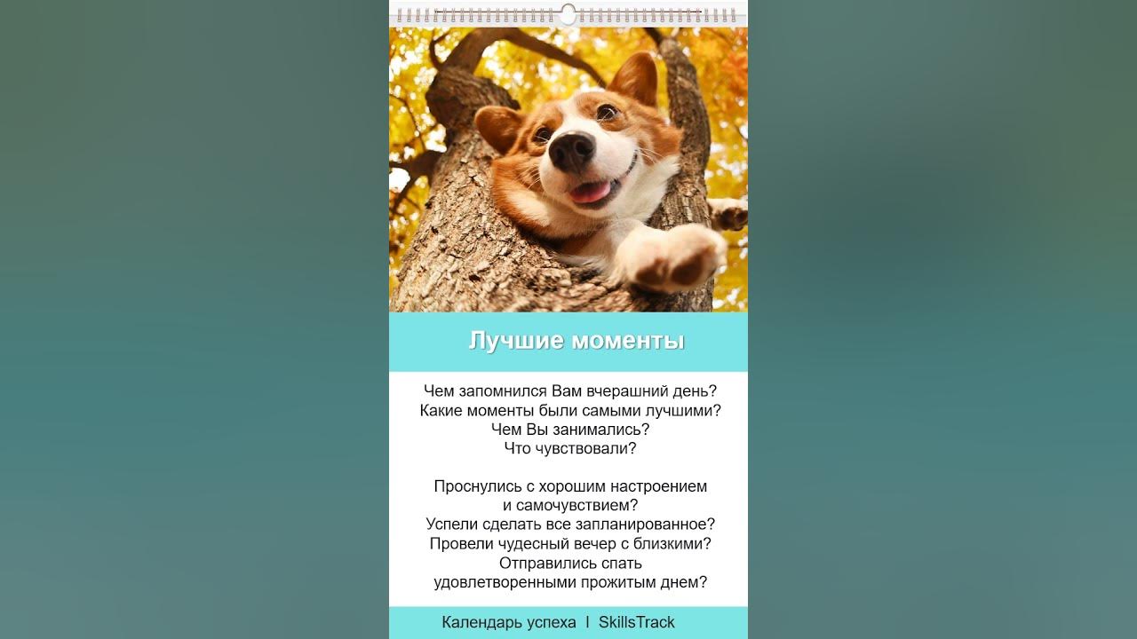 Календарь успеха #74. Лучшие моменты - YouTube