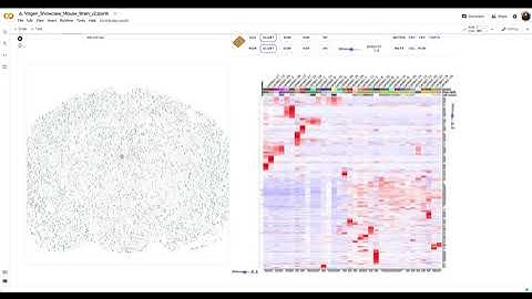 MERFISH Mouse Brain Receptor Map Colab Notebook Tutorial Preview