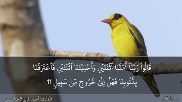 الصفحة 468 سورة غافر بصوت القارئ المهندس أحمد فايز الحراسيس