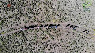 Süphan Dağı Tırmanışını Drone Ile Takip Ettik.