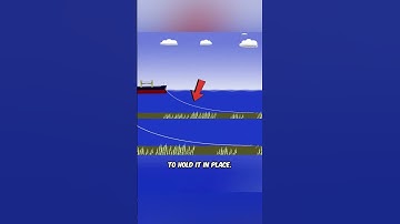 How ships get back its anchor