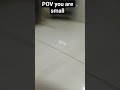 POV you are small