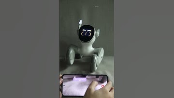 Wi-Fi 6 Speed Test Loona