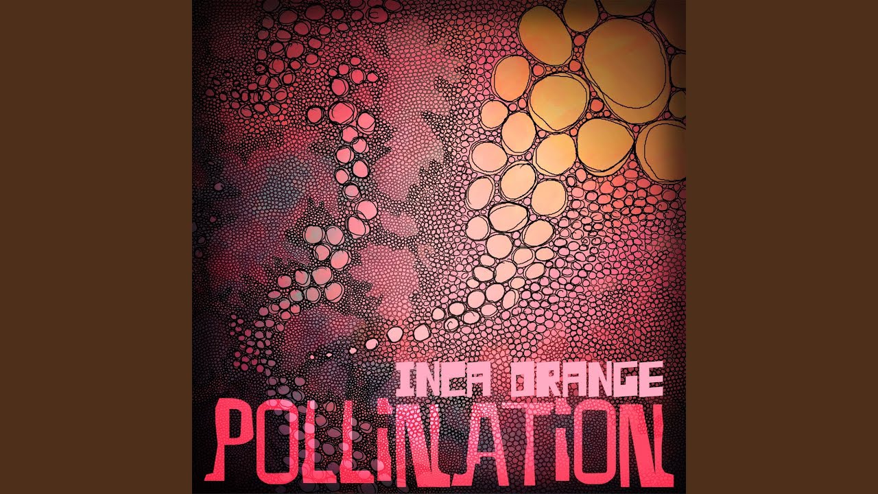 Golden Ratio (Rectangle Version)