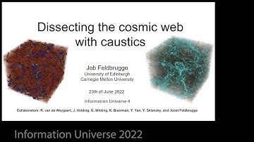 Job Feldbrugge: on "Caustic skeleton of the cosmic web"