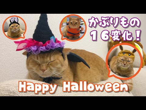 【新品未使用】どしゃぶり猫 ハロウィン もうこやま オレンジ　マント付属 限定 LOVOT 公式 ウェア ハロウィンマント&帽子セット