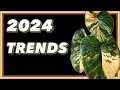 Hottest plant trends for 2024 ft onlyplants
