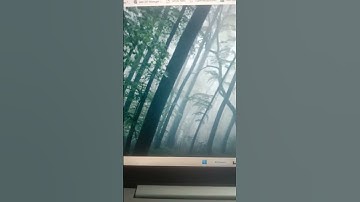 Google loader using html, css | Rosario_coding