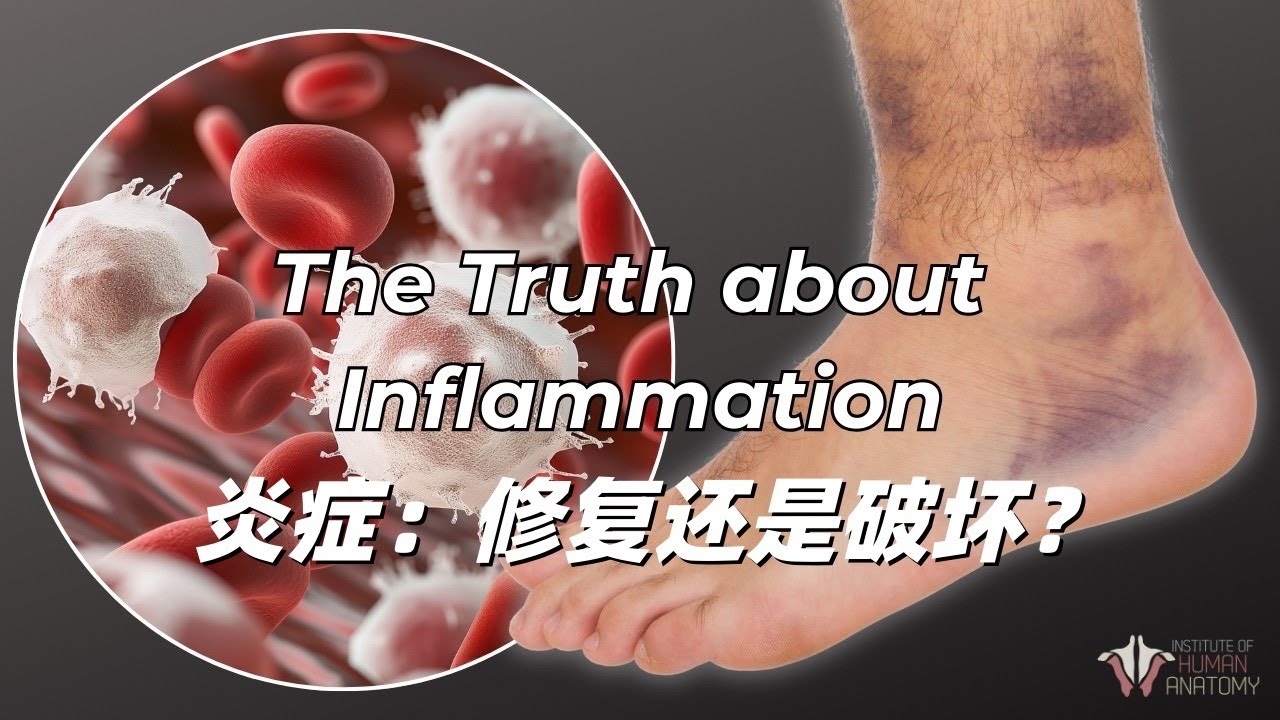 【發炎】發炎未必是壞事,是身體癒合的第一步! 縮圖