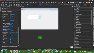 Rad Studio Delphi 017 UpDown - 001 Position & Associate