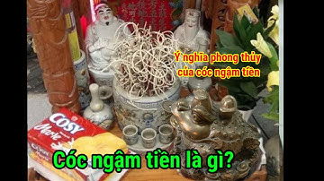 Ý nghĩa phong thủy của cóc ngậm tiền , Cóc ngậm tiền là gì?