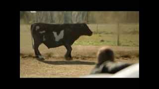 smerte Omkreds tage Under the Dome - The cow scene - YouTube