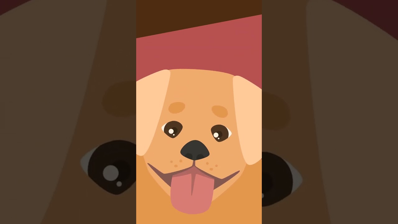 Short Dog Animation