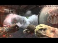 Nice Double Kill mit Ballist. Messer =) (Call of Duty Black Ops) 1080p