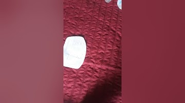 Rianbowpiggy goldpiggy