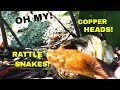 Copperhead and Rattlesnake Den: Creep-Out Alert! | Aquachigger