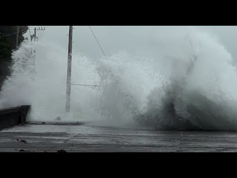 Typhoon Hagibis Rough Sea And Huge Waves Ahead Of Landfall