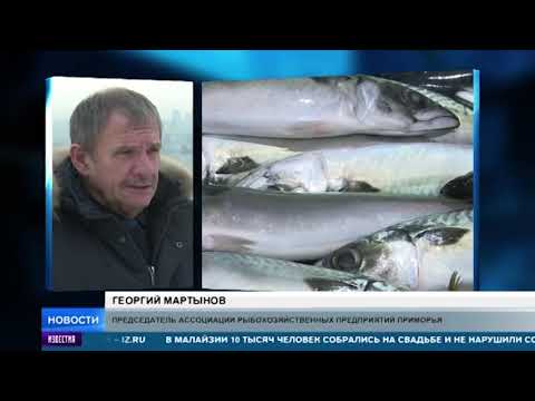 Тонны улова: где окажется не попавшая в Китай российская рыба