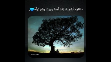 راحة نفسية😌💯 حالات واتس اب قران كريم💙 حالات واتس دينية💯 تلاوة خاشعة