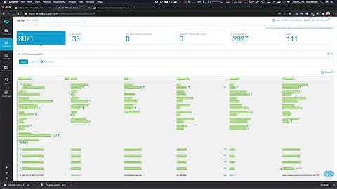ZPA Wildcard Application Segment