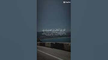 القران الكريم ----سورة الزمر