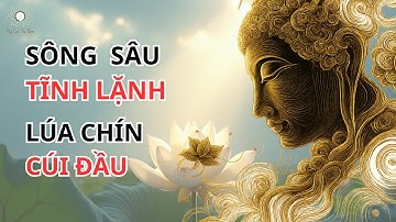SÔNG SÂU TĨNH LẶNG, LÚA CHÍN CÚI ĐẦU | Bài Học Khiêm Nhường & Trí Tuệ Trong Cuộc Sống