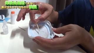 挿し木に発根促進剤を使ってみた Youtube 挿し木に発根促進剤を使ってみた Youtube