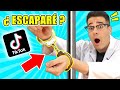 Probando TikTok LIFE HACKS VIRALES #3 y Trucos con Comida | Curiosidades con Mike - T4 E10