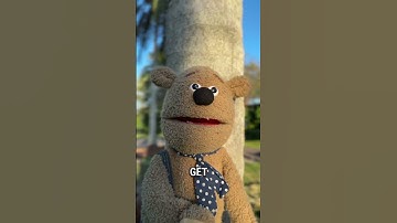 Day:25 of me shouting out MrBeast until I get 10k Subscribers  #comment #puppet #fup #mrbeast #10k