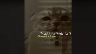 වැහි පබළු සැලී | Wahi Pabalu Sali |  Slowed + Reverb #song #2023