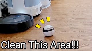 Drive Your Pets CRAZY with this Little Robot   Enabot EBO SE Catpal Bot!!!