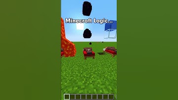 Minecraft Villager Logic Test... 🤔 #shorts
